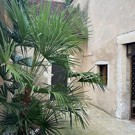 Cosy Appartement Hyper Centre Ville Avec Cour + Patio Auxerre Exterior foto